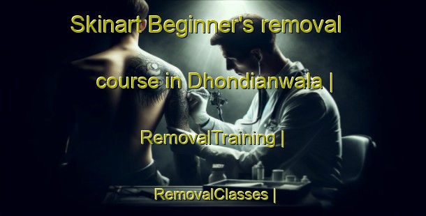 Skinart Beginner's removal course in Dhondianwala | RemovalTraining | RemovalClasses | SkinartTraining-Pakistan